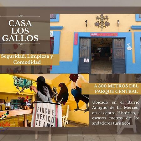 Casa Los Gallos Hotell San Cristóbal de Las Casas Eksteriør bilde