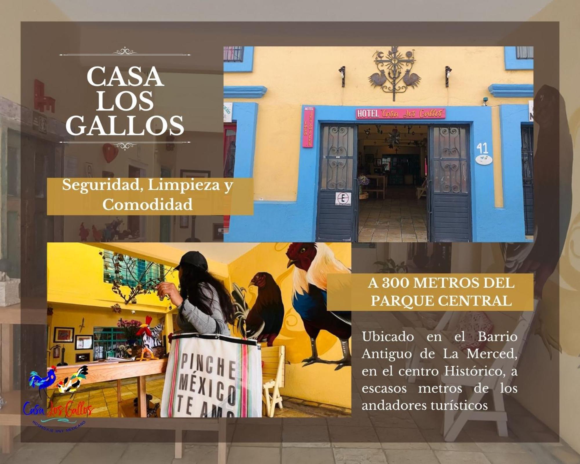 Casa Los Gallos Hotell San Cristóbal de Las Casas Eksteriør bilde